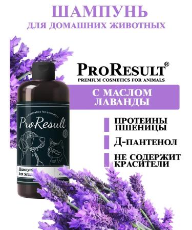 ProResult Shampoo for dogs and cats with lavender butter