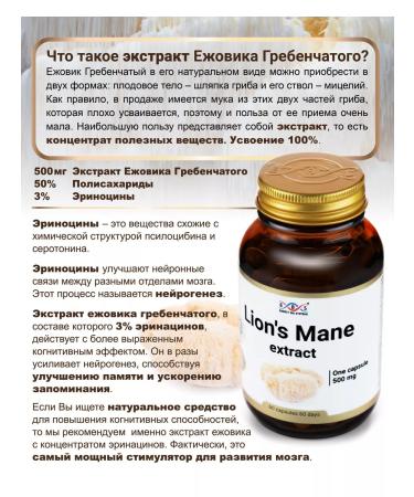 Energy Bio Systems Ezhovik crested extract Lions Mane - Buy Online on GoSupps.com