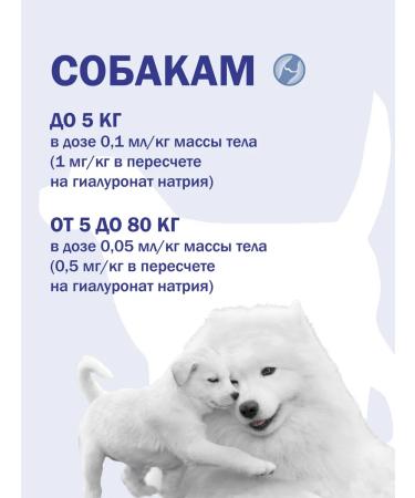 Scientific and Production Complex SPHERE Hyaluvit Chondro 1 FL 2 ml for joints for injection - Buy Online on GoSupps.com