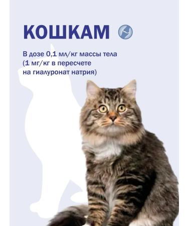 Scientific and Production Complex SPHERE Hyaluvit Chondro 1 FL 2 ml for joints for injection - Buy Online on GoSupps.com