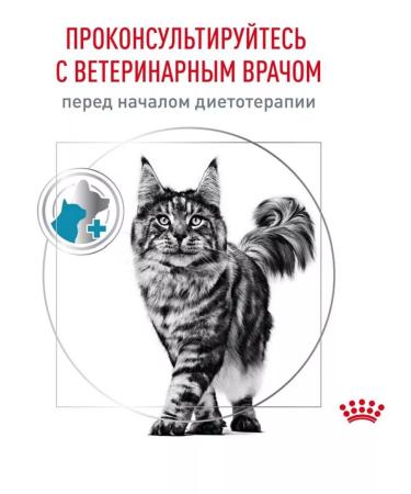 ROYAL CANIN Royal Kanin hypoallergenic for cats 350gr - Buy Online on GoSupps.com