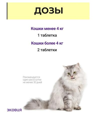 Vit-Active A complex of vitamins for cats over 7 years 3 pcs - Buy Online on GoSupps.com