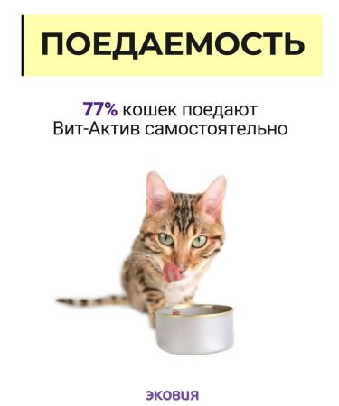 Vit-Active A complex of vitamins for cats over 7 years 3 pcs - Buy Online on GoSupps.com