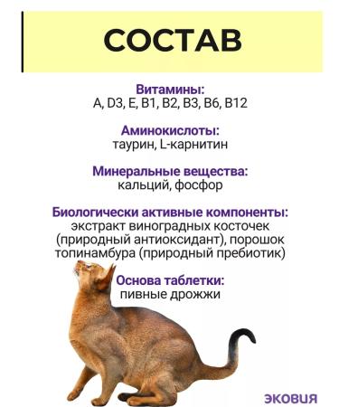 Vit-Active A complex of vitamins for cats over 7 years 10 pcs - Buy Online on GoSupps.com