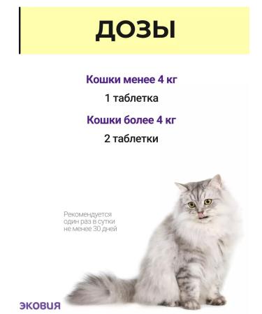 Vit-Active A complex of vitamins for cats over 7 years 10 pcs - Buy Online on GoSupps.com