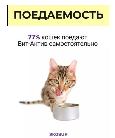 Vit-Active A complex of vitamins for cats over 7 years 10 pcs - Buy Online on GoSupps.com