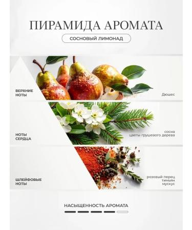 Ovsyannikov Gift set of cosmetics pine lemonade 2 x 300ml - Buy Online on GoSupps.com