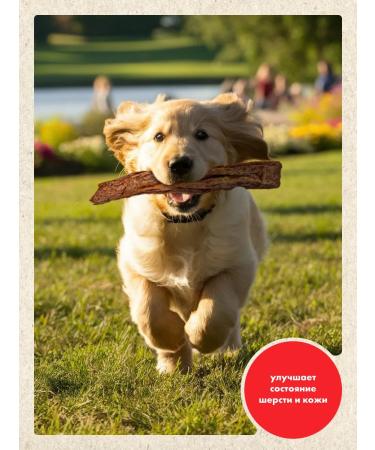 GRIZGO Udder beef shape of a wand 1000 grams - Buy Online on GoSupps.com