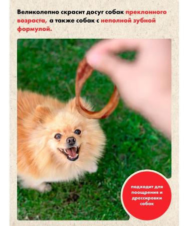 GRIZGO Trachea ring 500 grams - Buy Online on GoSupps.com