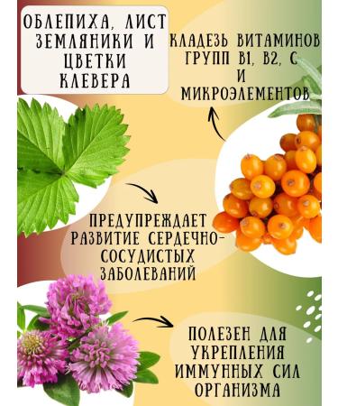 Kamlev Tea Farm Vitamin tea set assorted 48 pieces - Buy Online on GoSupps.com