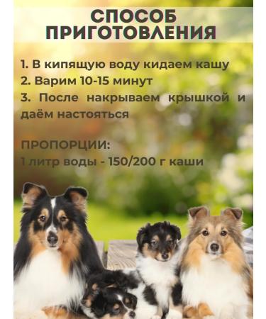 Natural porridge for dogs 8 cereals with pasta - Buy Online on GoSupps.com