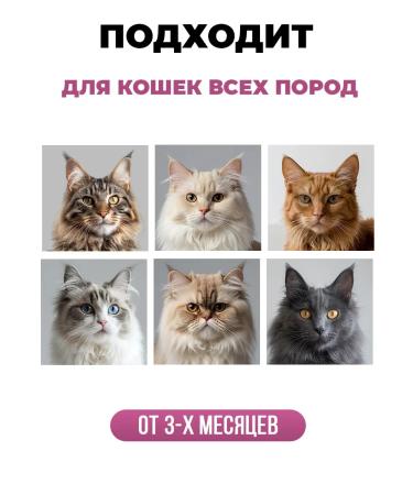 SPETS Long -haired cats shampoo hypoallergenic 500 ml - Buy Online on GoSupps.com