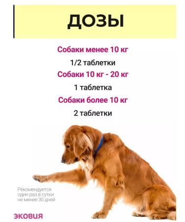 Vit-Active A complex of vitamins for pregnant and lactating dogs 2 pcs - Buy Online on GoSupps.com