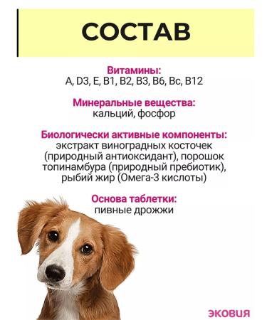 Vit-Active A complex of vitamins for pregnant and lactating dogs 3 pcs - Buy Online on GoSupps.com