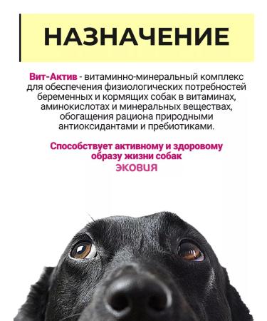 Vit-Active A complex of vitamins for pregnant and lactating dogs 10 pcs - Buy Online on GoSupps.com
