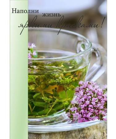 forest GREDI Oregano fragrant dried herbal collection oregano - Buy Online on GoSupps.com