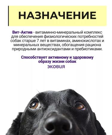 Vit-Active A complex of vitamins for dogs over 7 years 1 pcs - Buy Online on GoSupps.com
