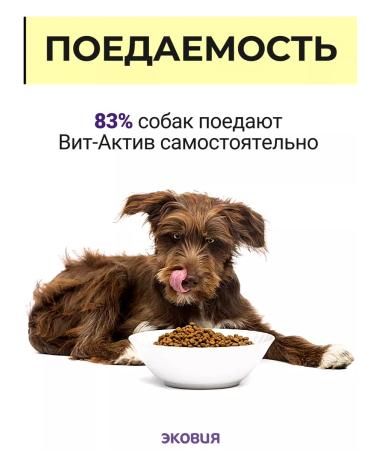 Vit-Active A complex of vitamins for dogs over 7 years 1 pcs - Buy Online on GoSupps.com