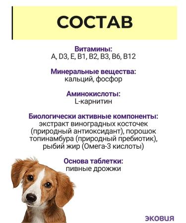 Vit-Active A complex of vitamins for dogs over 7 years 2 pcs - Buy Online on GoSupps.com