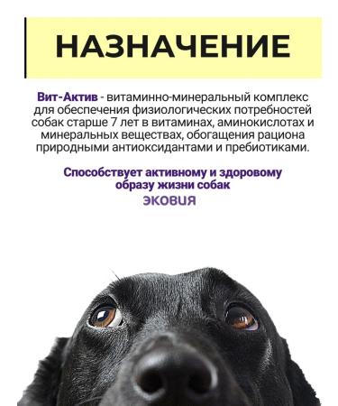 Vit-Active A complex of vitamins for dogs over 7 years 2 pcs - Buy Online on GoSupps.com