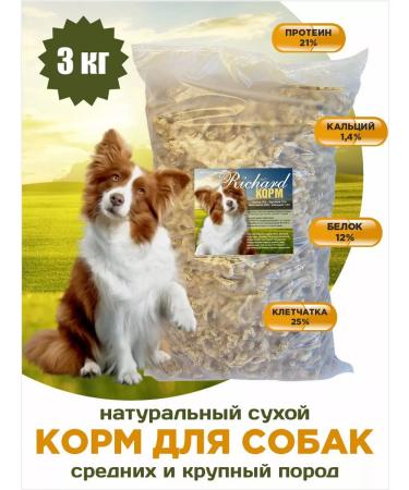 World of Ideas Dry food for dogs of medium and large rocks