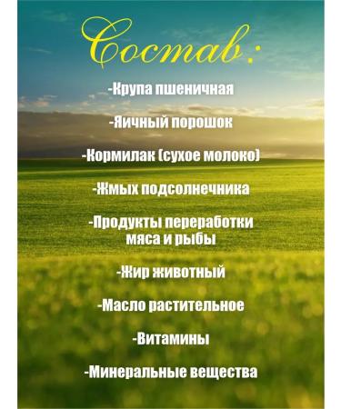 World of Ideas Dry food for dogs of medium and large rocks - Buy Online on GoSupps.com