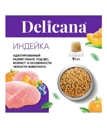 Delicana Cat food with sensitive digestion of turkey 8kg - Buy Online on GoSupps.com