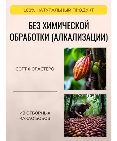 Plantanika Natural cocoa powder without sugar 250 g - Buy Online on GoSupps.com