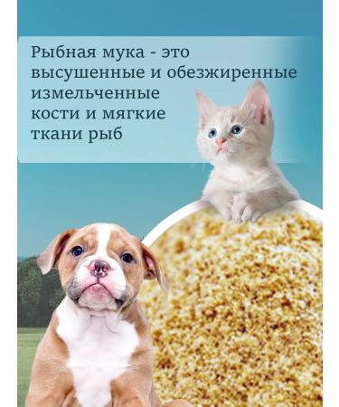 KORMIS Fish flour for dogs of cats and animals 5kg - Buy Online on GoSupps.com