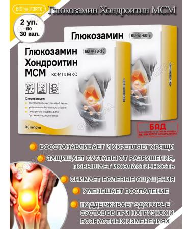 BIOFORTE Glucosamine chondroitin MSM 30 kaps 375 mg+300 mg+80 mg*2UP