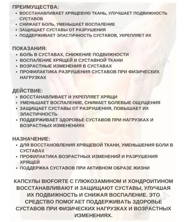 BIOFORTE Glucosamine chondroitin MSM 30 kaps 375 mg+300 mg+80 mg*2UP - Buy Online on GoSupps.com