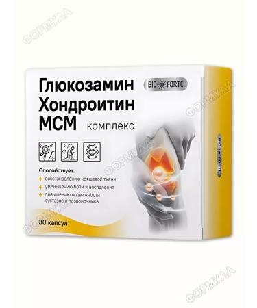 BIOFORTE Glucosamine chondroitin MSM 30 kaps 375 mg+300 mg+80 mg*2UP - Buy Online on GoSupps.com