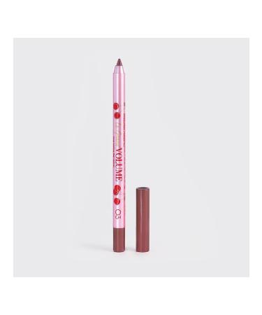 VIVIENNE SABO Lip pencil Gel Le Grand Volume tone 03