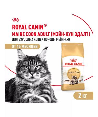 ROYAL CANIN Dry food for cats Main Kun 2 kg