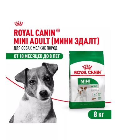 ROYAL CANIN Mini adult feed for dogs of small sizes from 10 months 8 kg