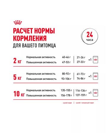 ROYAL CANIN Mini adult feed for dogs of small sizes from 10 months 8 kg - Buy Online on GoSupps.com