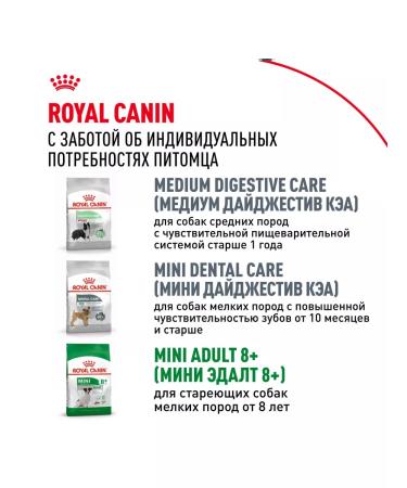 ROYAL CANIN Mini adult feed for dogs of small sizes from 10 months 2 kg - Buy Online on GoSupps.com