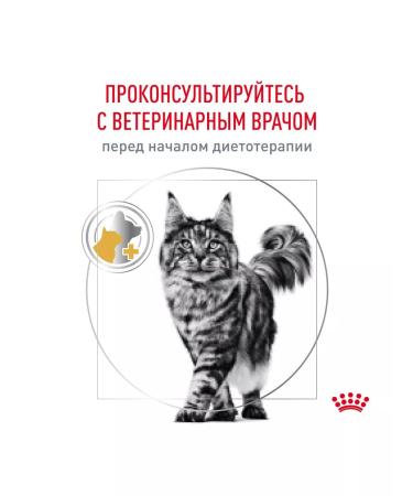 ROYAL CANIN Urinary S o cat food 3.5 kg - Buy Online on GoSupps.com