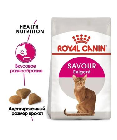 ROYAL CANIN Feeding cat food from 1 year 10 kg - Buy Online on GoSupps.com