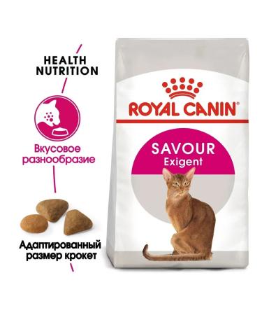 ROYAL CANIN Feeding cat food from 1 year 10 kg - Buy Online on GoSupps.com