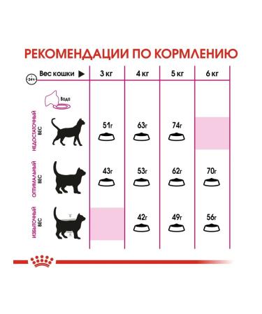 ROYAL CANIN Feeding cat food from 1 year 10 kg - Buy Online on GoSupps.com