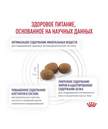 ROYAL CANIN Neuthed Satiety Balance Cat food 8 kg - Buy Online on GoSupps.com