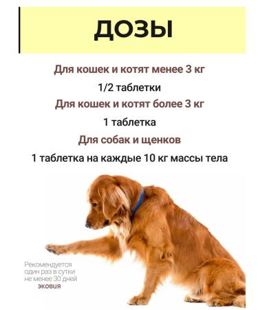 Vit-Active Chondroprotector for dogs cats puppies and kittens 3 pcs - Buy Online on GoSupps.com