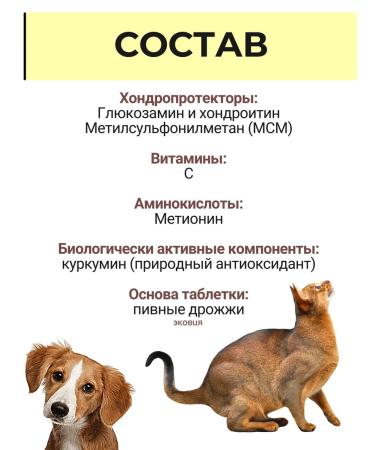 Vit-Active Chondroprotector for dogs cats puppies and kittens 5 pcs - Buy Online on GoSupps.com