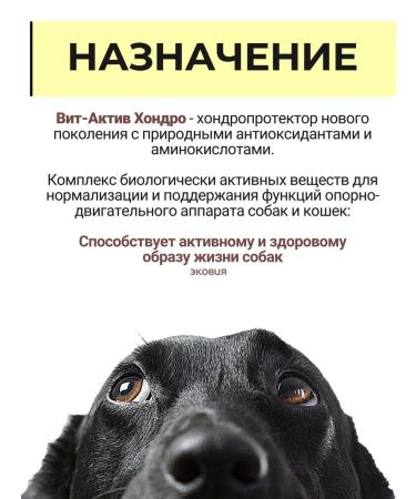 Vit-Active Chondroprotector for dogs cats puppies and kittens 5 pcs - Buy Online on GoSupps.com