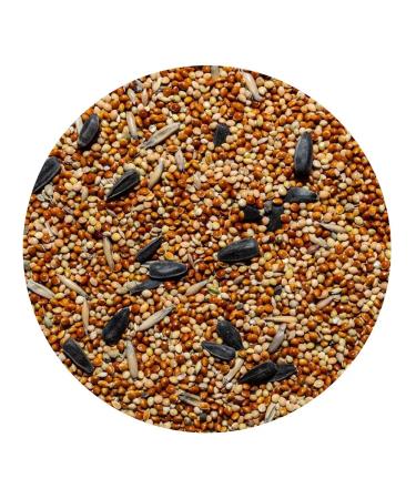 waka Feed for small and medium parrots fodder mixture 500 g 4 pcs - Buy Online on GoSupps.com
