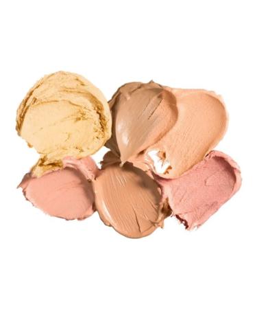 Maybelline New York Face palette 02 medium - Buy Online on GoSupps.com