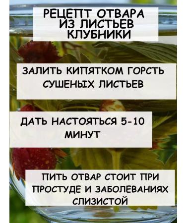 Tree of Love Strawberry leaves - Buy Online on GoSupps.com