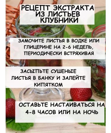 Tree of Love Strawberry leaves - Buy Online on GoSupps.com