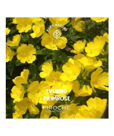 Piroche Cosmetiques Face daytime cream for mature skin 50 ml - Buy Online on GoSupps.com